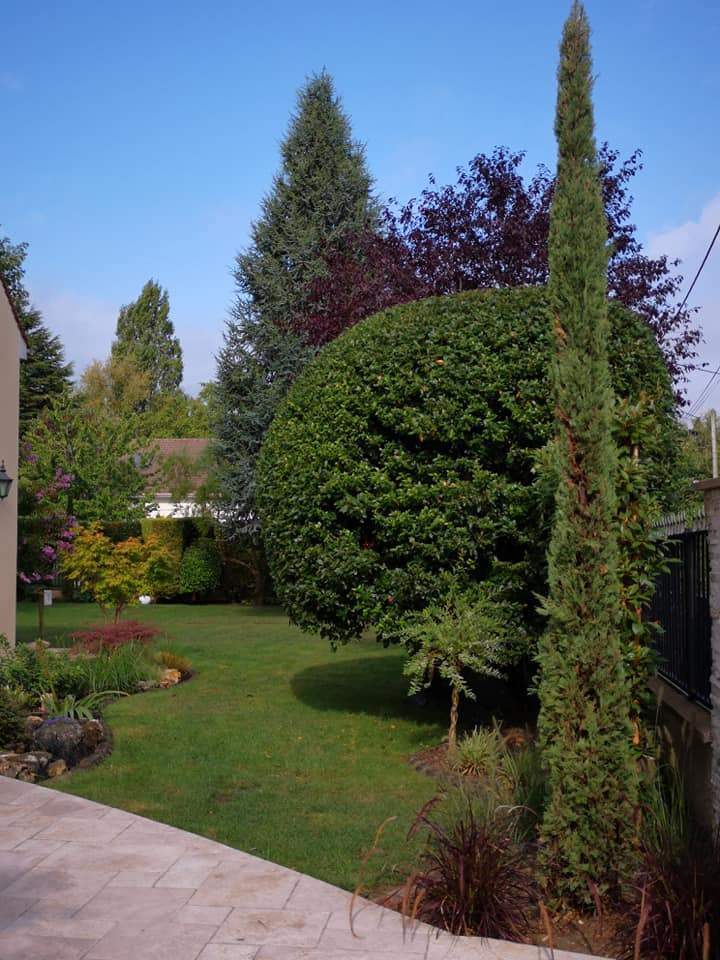Service d’entretien de jardin Triel-sur-Seine