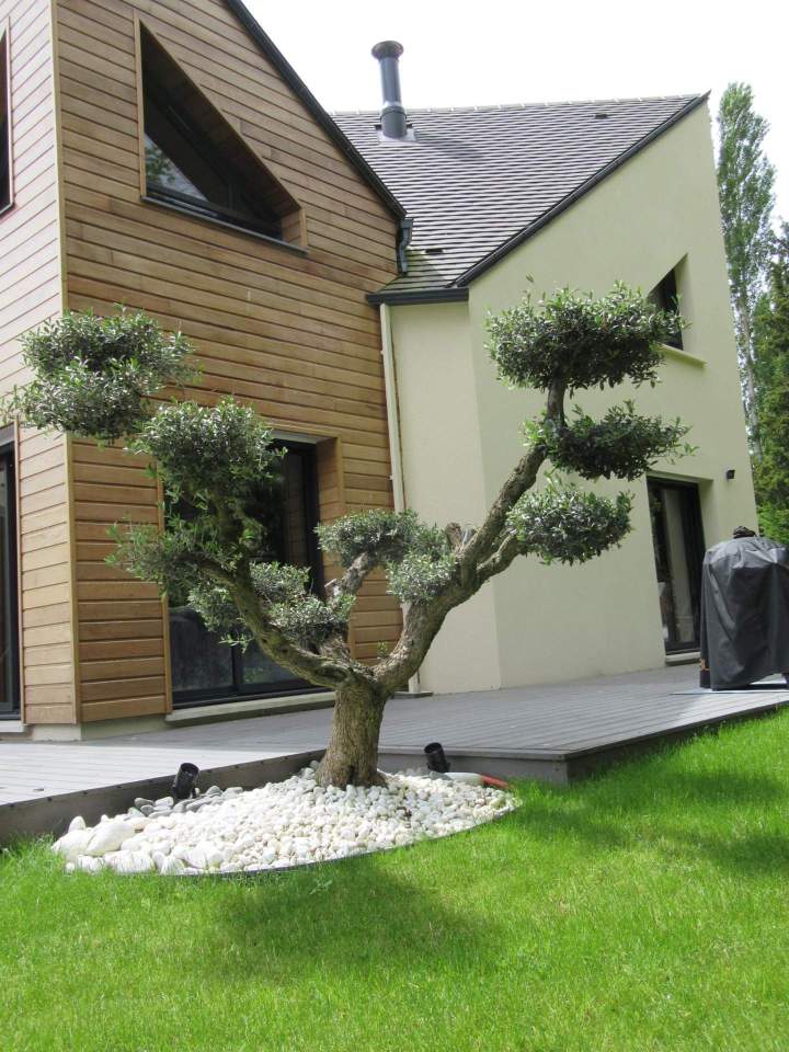 Aménagement de jardin Triel-sur-Seine