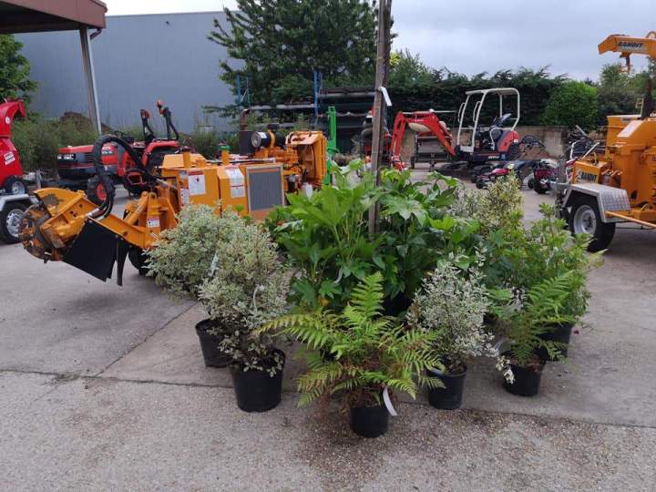 Aménagement de jardin Triel-sur-Seine