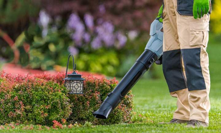 Des jardins éclatants, saison après saison