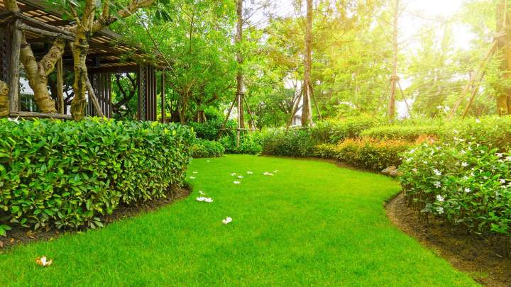 Service d’entretien de jardin Triel-sur-Seine